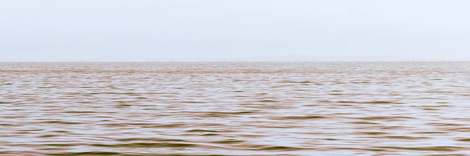 PoopySea banner