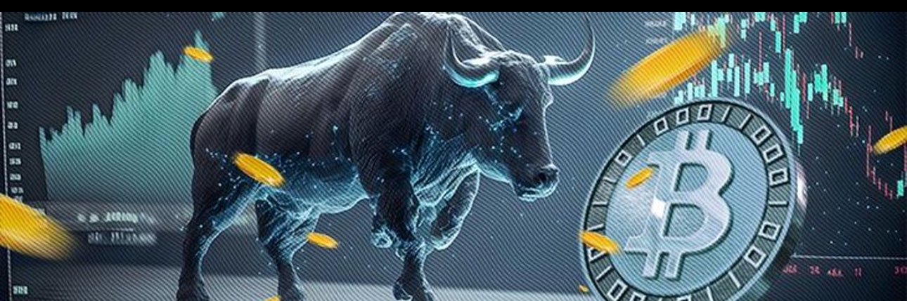 crypto54788's profile banner image