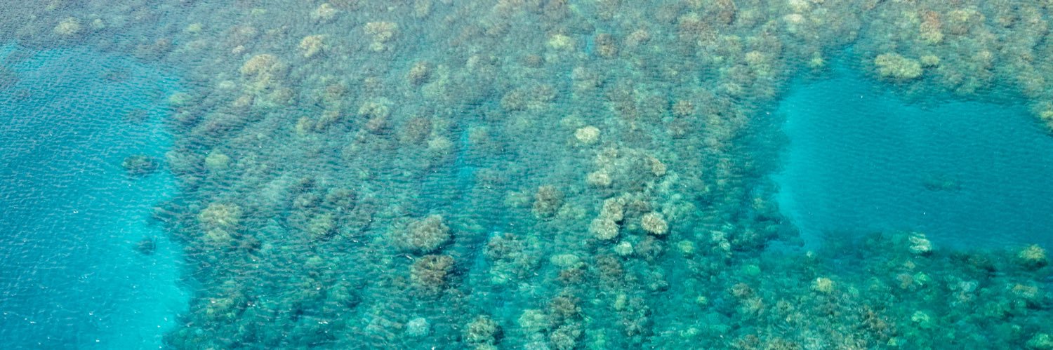 Darren Fryer CEO of 🅿️ro₂tect 🏄🏼‍♂️ banner