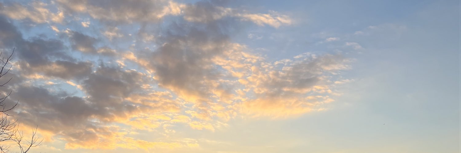 audouin12's profile banner image