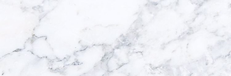 vivischolderer's profile banner image