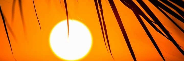 AnthonyPoree's profile banner image