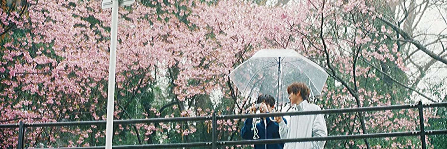 ♔ ɢᴜsᴛsᴜ ꕥ คิดถึงโดยอง banner