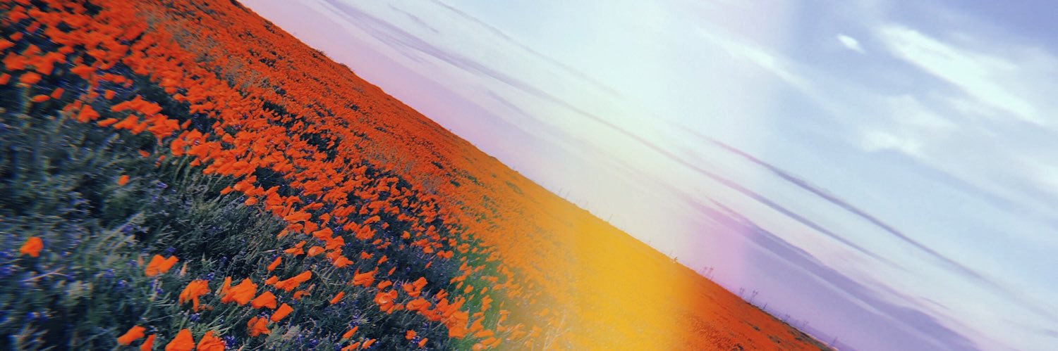 kaylamariege's profile banner image