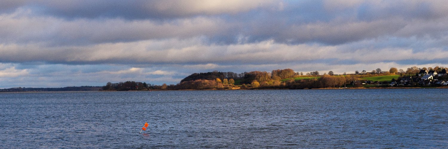 Rebecca Pittkowski banner