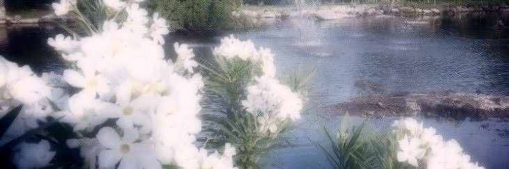 𝒶𝑙𝑎𝑠𝑘𝑎, 𝑖͟𝓈͟𝑎͟𝑖͟𝑟͟𝑖͟𝓈͟. banner