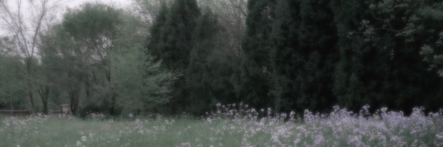 alaskaths's profile banner image