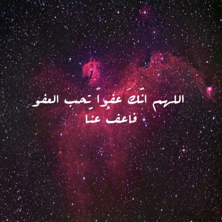 lateen11433's profile banner image
