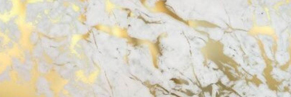 AnaGalaviz's profile banner image