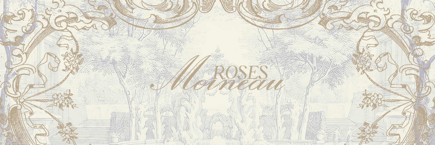 Rosesmoineau's profile banner image