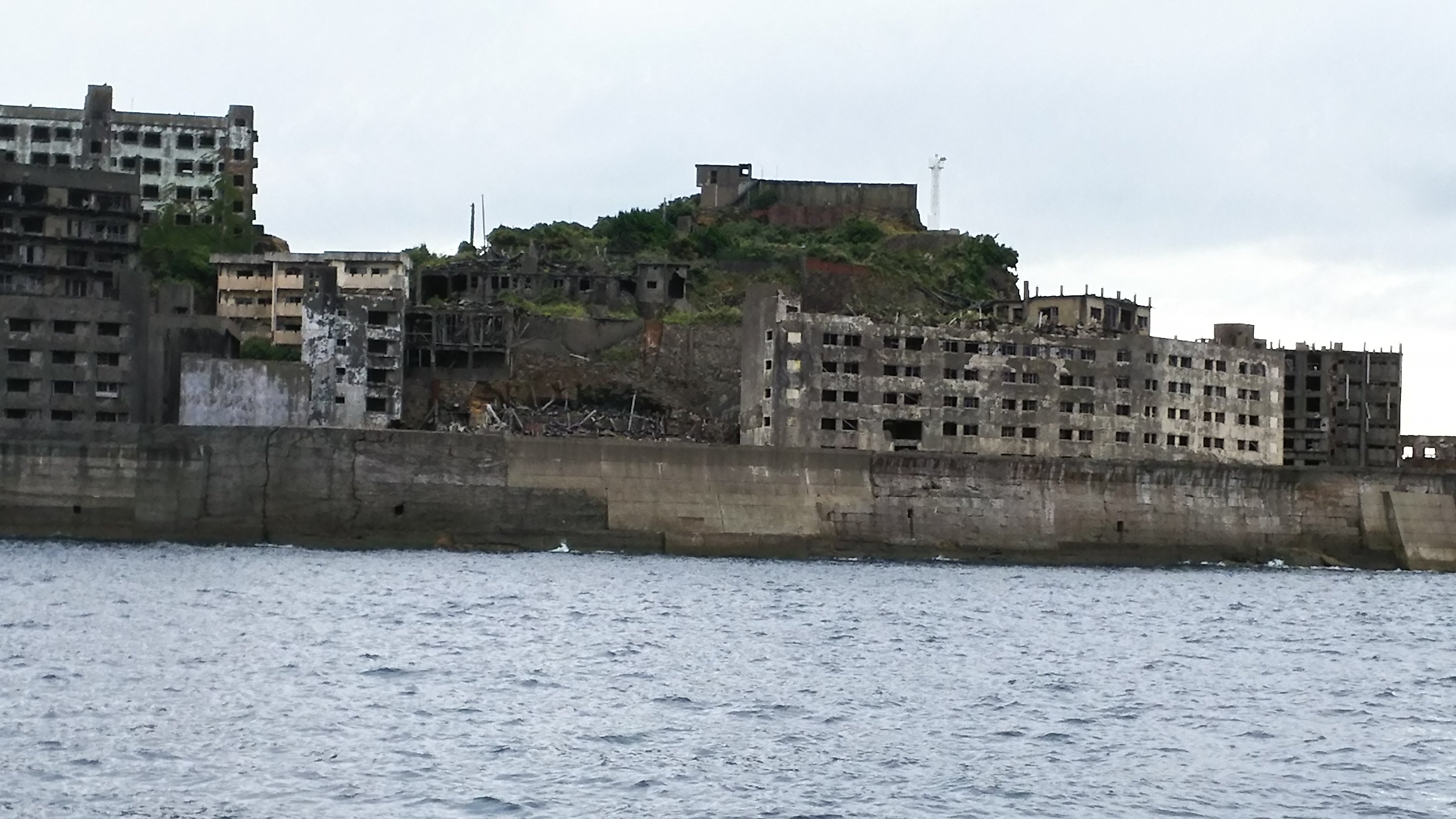 ぽんすけ👑🐃いろんなとこにいます🎶 banner