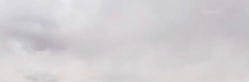 flower_rikaam's profile banner image