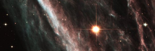lantan_fish Profile Banner
