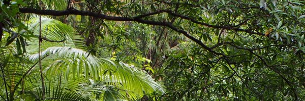 87B0nes Profile Banner
