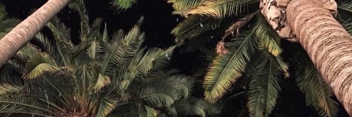 _engnajla's profile banner image