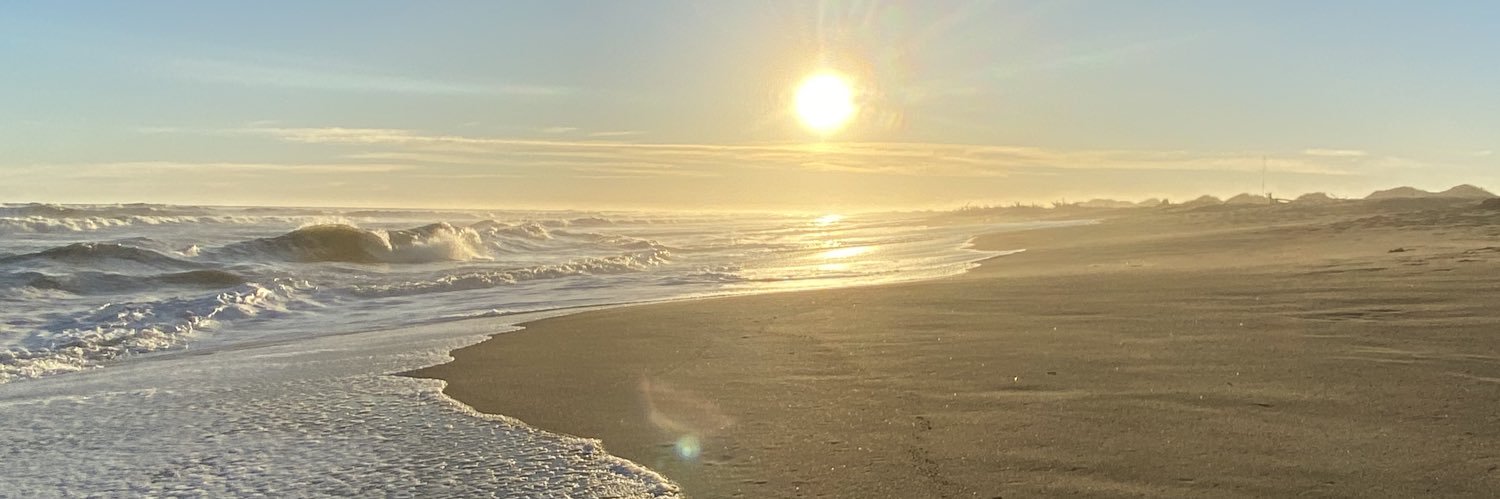 Landuleni31's profile banner image