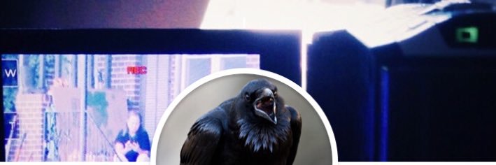 ravenbrookPI's profile banner image