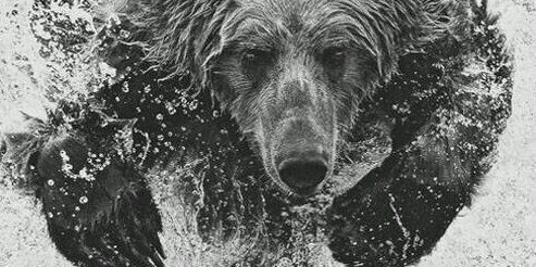 Ethanfultz43's profile banner image