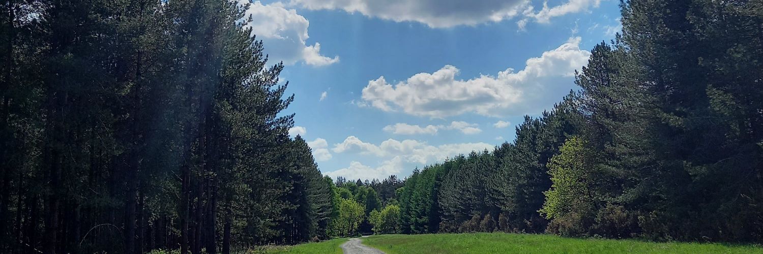 Gertrude Perkins 💙 banner