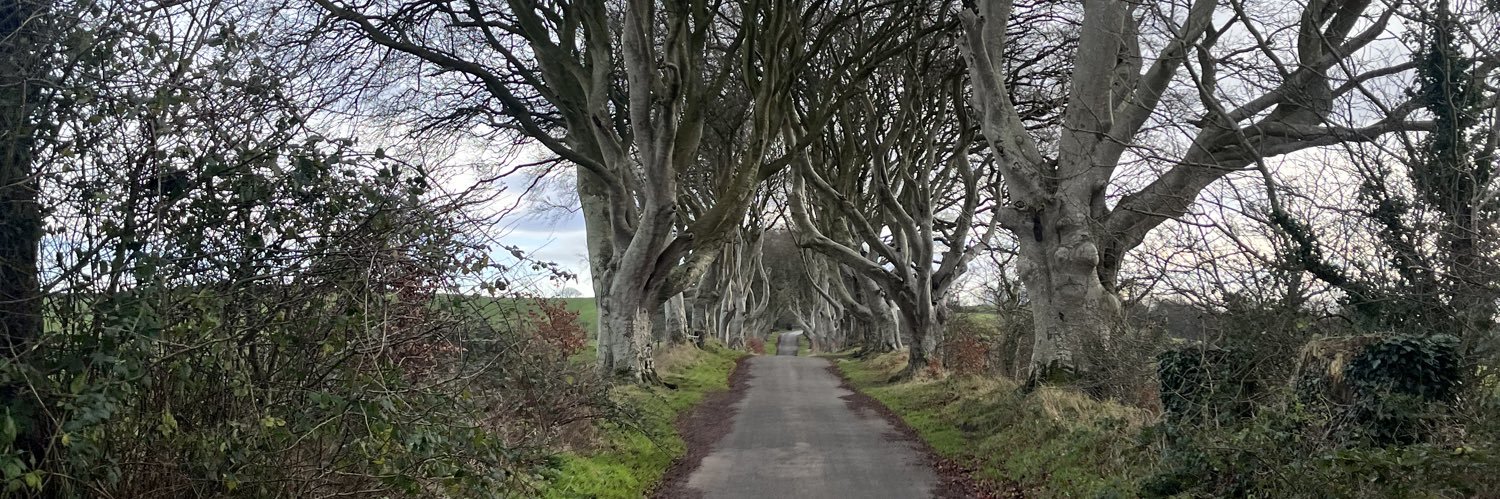 Air Walker 111 banner