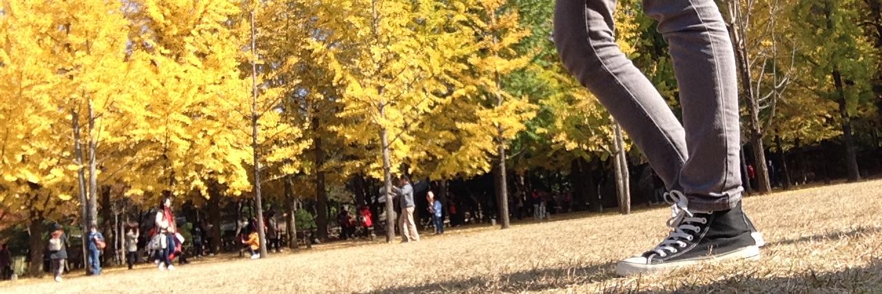 Shima Ibrahim banner