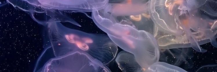 daegvbitch's profile banner image