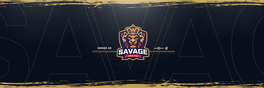 🦁Loading.... banner