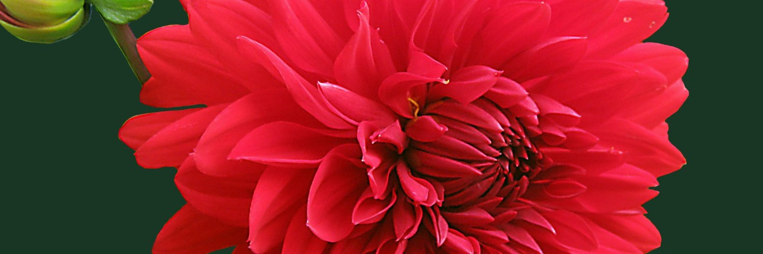 JenruTran's profile banner image