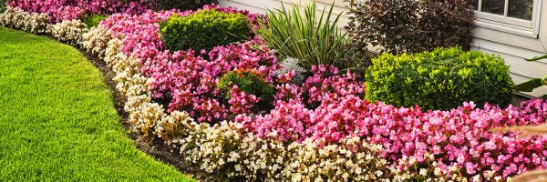 Doris Profile Banner