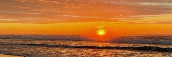 brightflowerrr Profile Banner