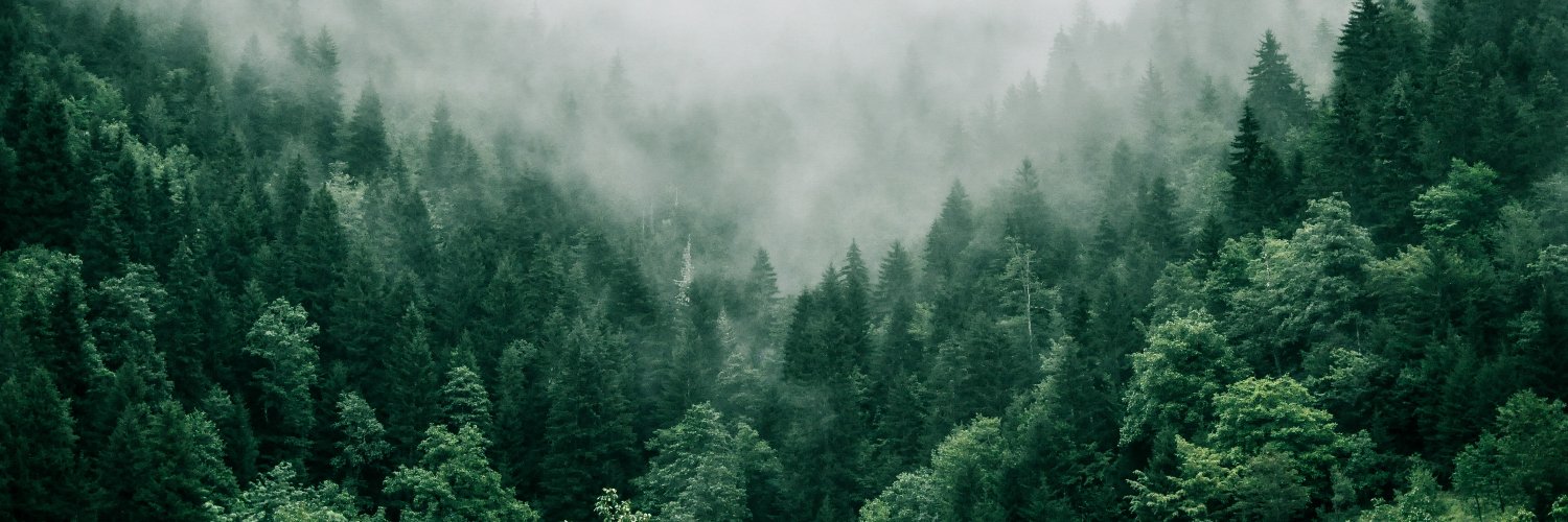 OffsetPool's profile banner image