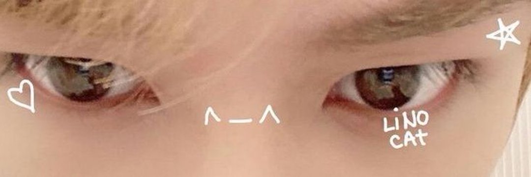 your_potterr's profile banner image