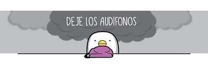 Ana Restrepo banner