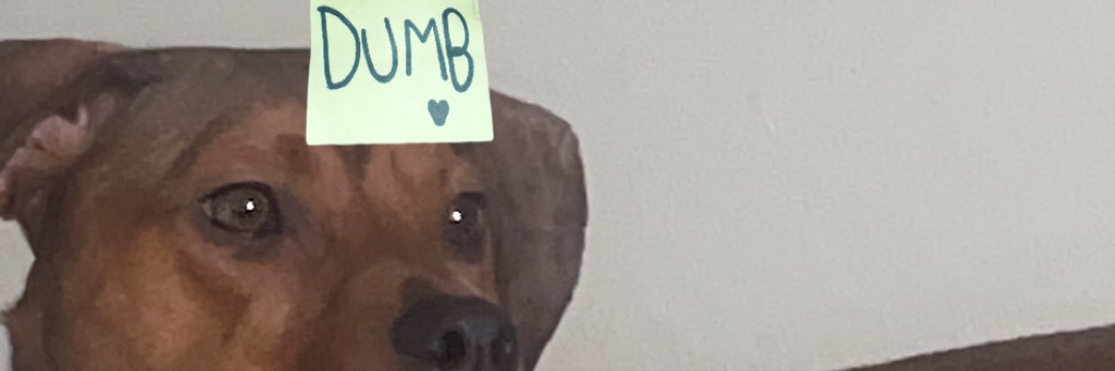 Griffin M banner