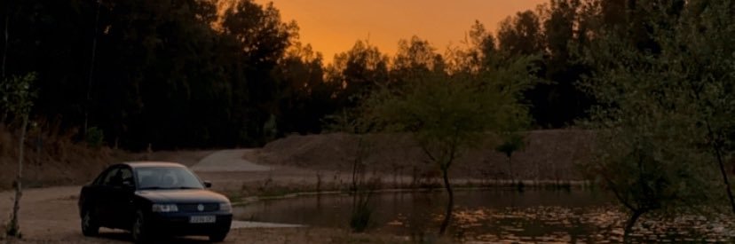 BiiancaStircu's profile banner image