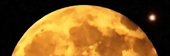 ttwolf's profile banner image