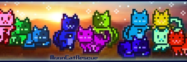 mooncatrescue Profile Banner