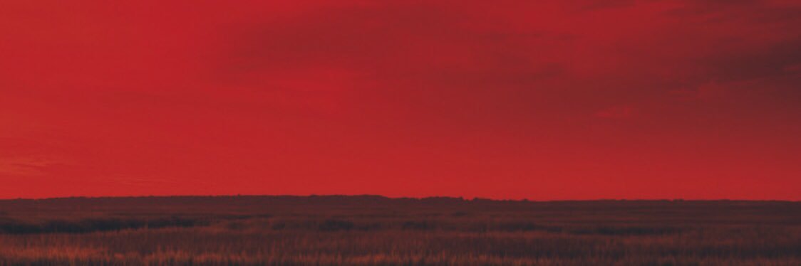 djohnston_81's profile banner image