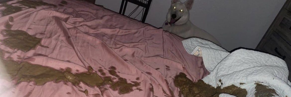 ⌨️🖱️ banner