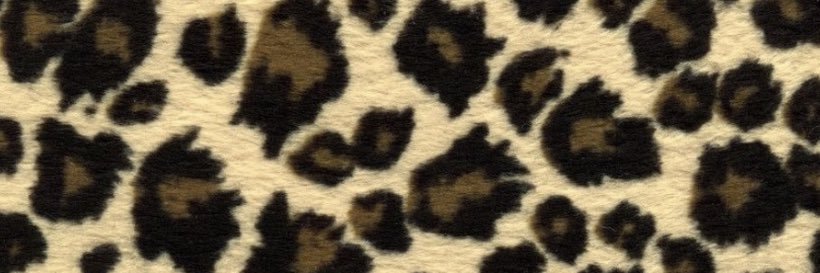 MACconcealerrr's profile banner image