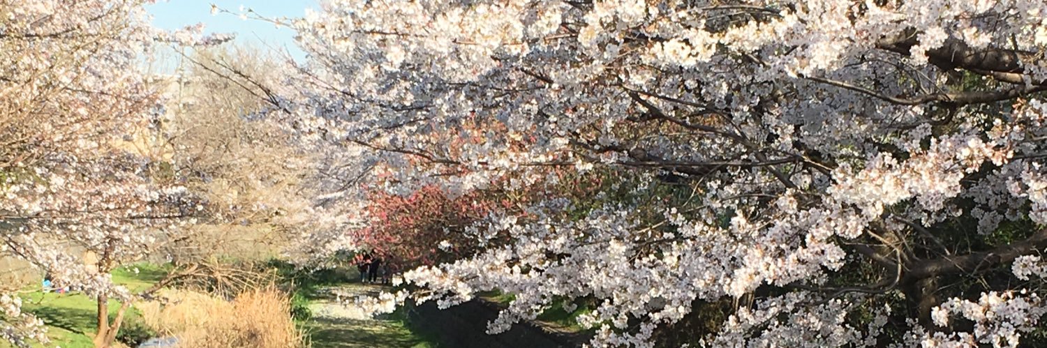 koto_810's profile banner image