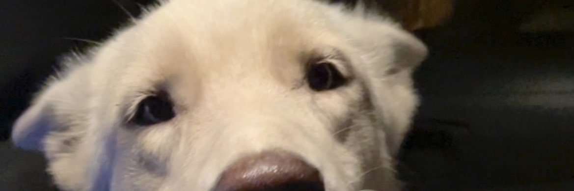 ragc99's profile banner image