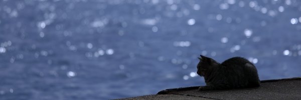 ひろぽんⅡ banner