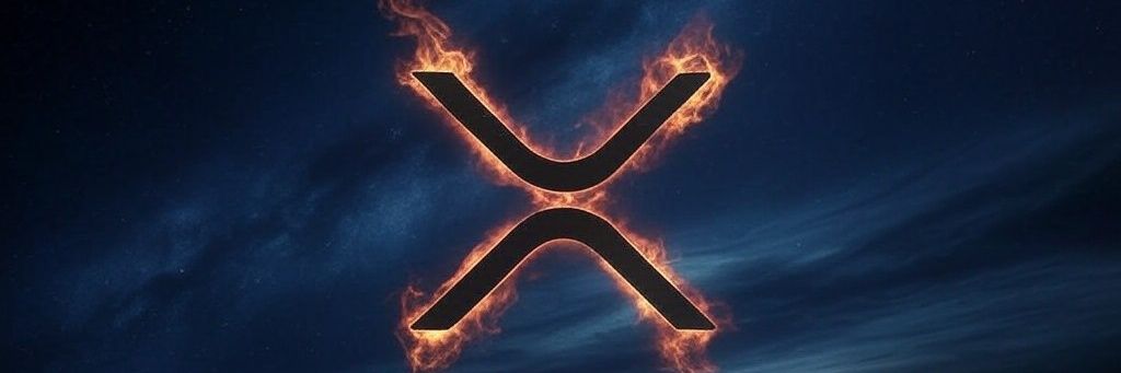 M4rgusMerimaa's profile banner image