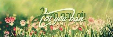 Jennifer Mahoney banner