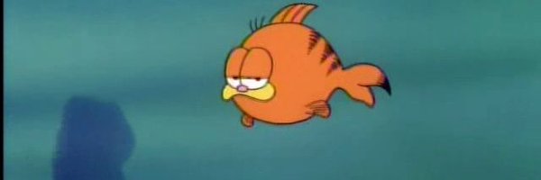 brotmehibird80 Profile Banner