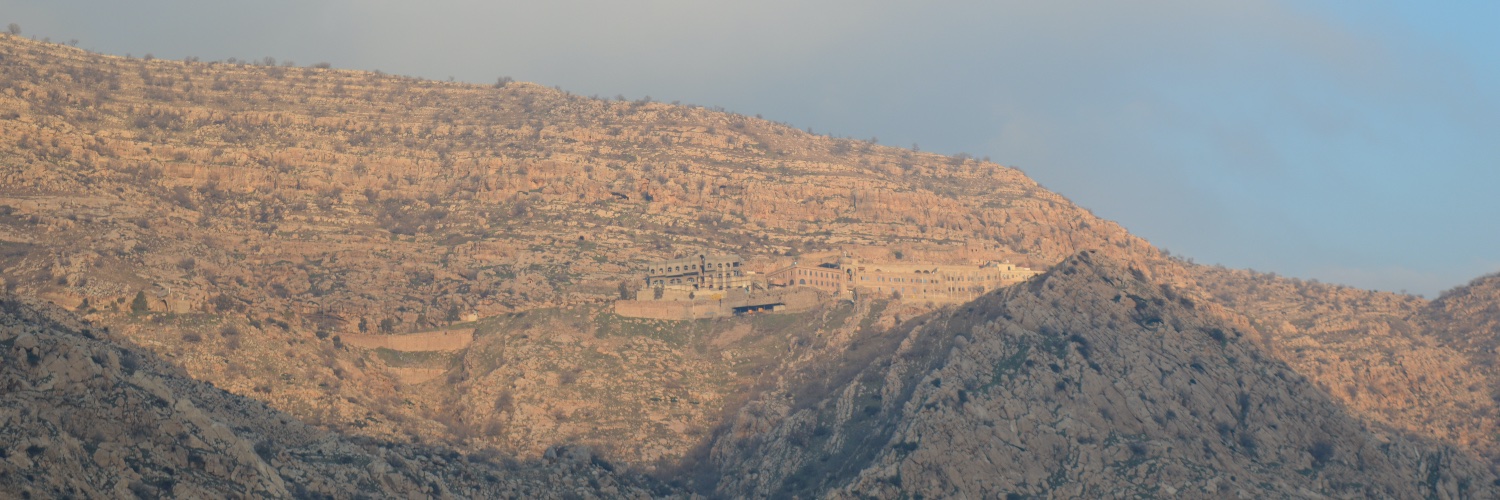 Lemkin Institute for Genocide Prevention's banner