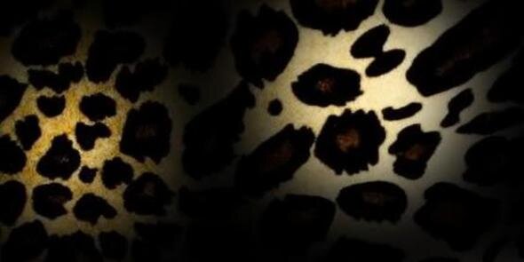 SpTory's profile banner image