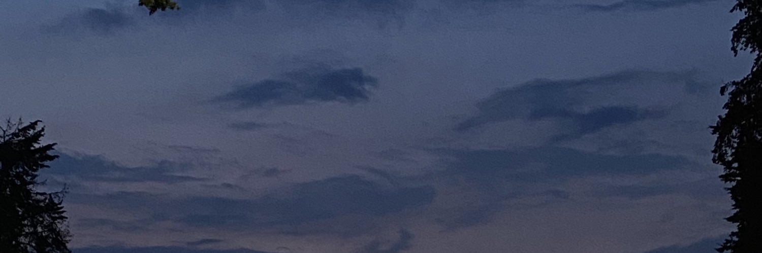 Emilyvilchis_'s profile banner image