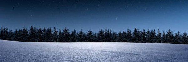 foxxiatto Profile Banner